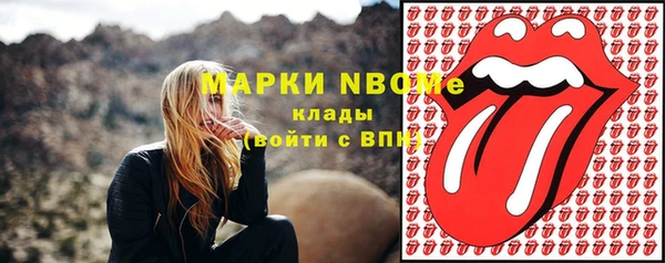 СК Бородино