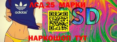 мдпв Жуковский
