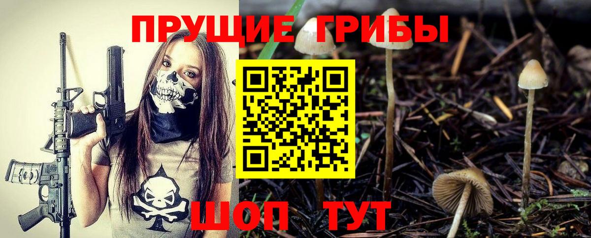 Псилоцибиновые грибы Psilocybine cubensis Горячий Ключ