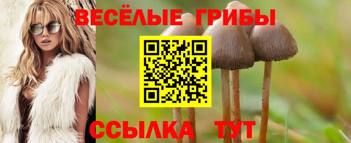 Горячий Ключ  Галлюциногенные грибы Magic Shrooms  Вход с VPN  Галлюциногенные грибы ЛСД 